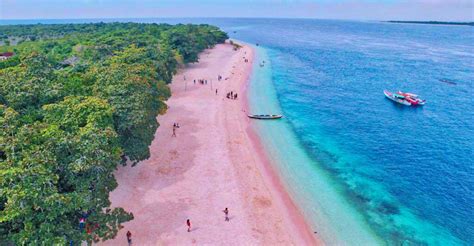 bicol beaches|pink beach bicol.